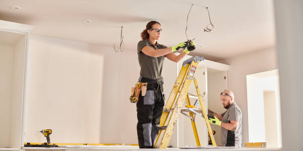 Best Electrical Contractors for Businesses  in Madison Lake, MN