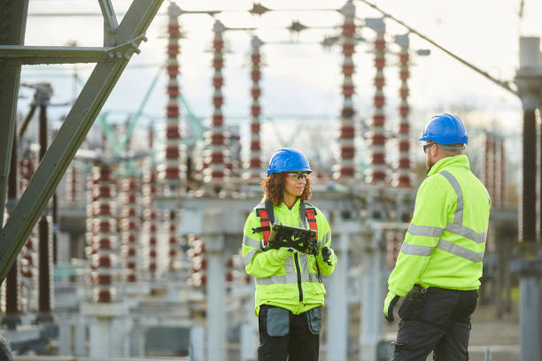 Best Home Electrical Repair  in Madison Lake, MN