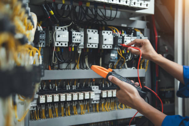 Best Affordable Electrician  in Madison Lake, MN