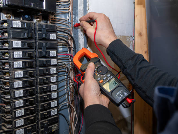 Best Affordable Emergency Electrician  in Madison Lake, MN