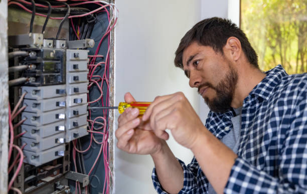 Best Licensed Electrician  in Madison Lake, MN